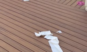 Boxer Puppy Makes Mess of Paper Towels