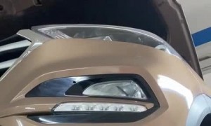 Kittens Found During Car Inspection