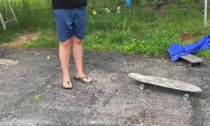 Husband is Dr. Dolittle