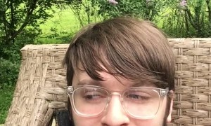 Tufted Titmouse Bird Tries Pulling Hair from Human