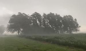 Severe Thunderstorm with 70mph Wind