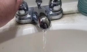 Taps, Can I Get a Hoyaa?!