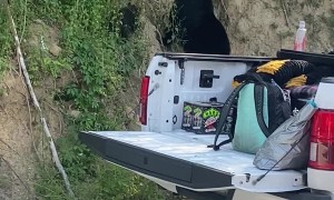 Mama Bear and Cubs Wander Through Driveway
