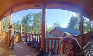 Hanging Chair Falls Out From Under Woman