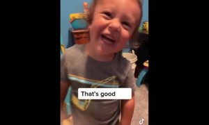 Kid makes parents laugh with his 