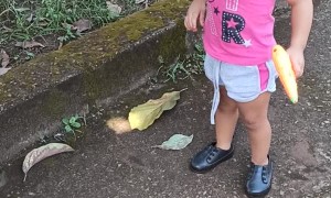 Smart Puppy Distracts Child and Steals Sucker
