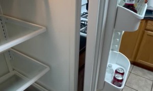 Fridge Door Falls Off