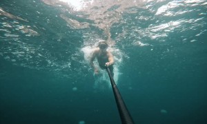 Man Snorkeling Gets Stung by Jellyfish