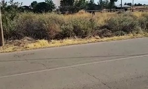 Very Large Dust Devil Picks up Tumbleweeds