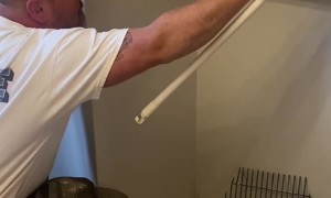 Man Rescuing Bird Stuck in Chimney Gets Startled