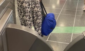 Steeplechaser Stumped by Subway Barrier