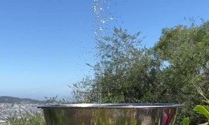 Hummingbird Takes a Shower in Backyard Fountain