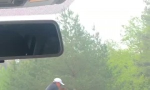 Guy Helps Baby Moose Over Guard Rail to Get Back to Mom