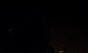 Hitting a Deer While Riding a Harley Davidson at Night