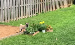 If I Can't Have Them, Nobody Can