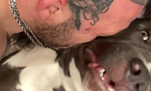Dog Makes Funny Noises While Getting Kisses From Dad