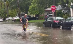 Happy Pup Pulled on Boogie Board