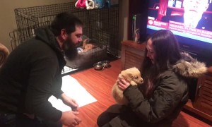 Mom and Stepdad Surprise Daughter with Her First Puppy