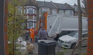 Runaway Dog Causes Comedic Chaos