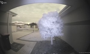 Strange Light Anomaly Caught on Ring Camera