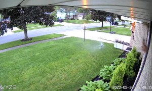 Surprised Deer Jumps Through Window