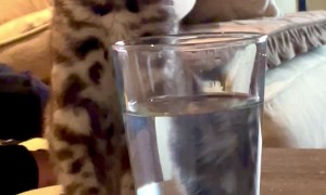 Unexpected Yet Tasty