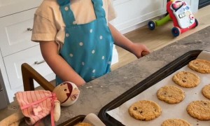 Kiddo Can't Wait For Cookies to Cool