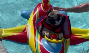 Pup Pilots Pool Toy
