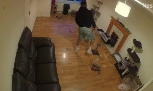 Furious Fart Frightens Felines