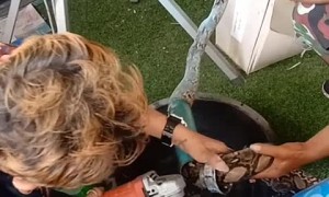 Snake Removal and Rescue