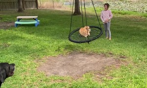 Cheeto Puff the Cat is Very Tolerant