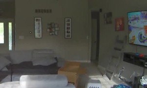 Kiddo Falls into Cardboard Box