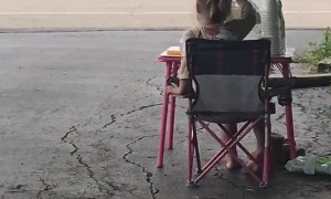 Little Girl Gives Drivers That Don't Wave Back the Bird