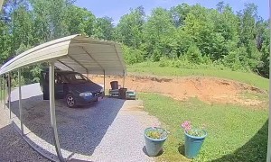 Dad Has Hilarious Reaction to Sister Slipping on Step