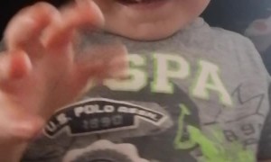 Kiddo Takes Off with Telephone