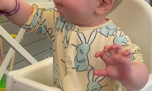 Baby Loves Strawberries