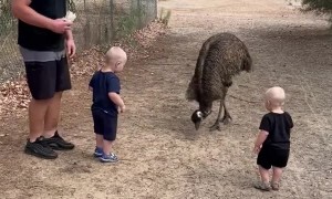 Wildlife Feeding Experience Turns Out to Be Scarier Than Expected