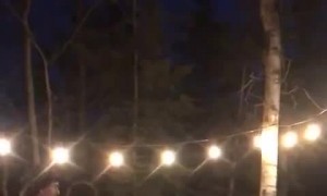 Getting Run Over by a Dirt Bike