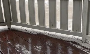 Record Rain and Snowfall Create Raging River in Glacier National Park