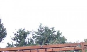 Kid Falls Out of Her Swing