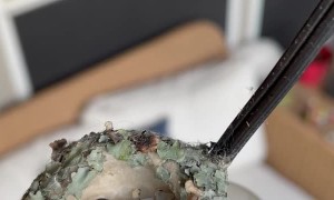 Freshly Hatched Hummingbirds in Nest on Hanging Lights