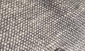 Passenger’s View of RedAir Flight’s Rough Landing in Miami