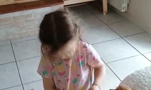 Little Girl Puts a Diaper on Her Dog