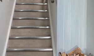Blind but Brave Husky Cautiously Descends Stairs