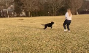 Pup goes absolutely crazy anytime someone starts running