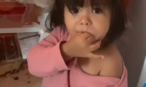 I Caught My Niece Stealing Cake From the Fridge