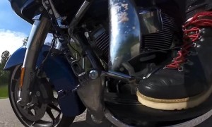 Motorcycle Hits Deer
