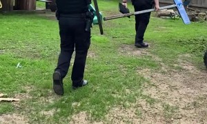 Police Take Street Signs From Backyard and Walked Them to Station