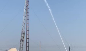 Cats Do Have 7 Lives