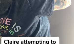 Rescuing a Baby Bird in the Wall